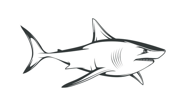 Jacksonville Sharks Logo American football Great white shark, shark,  animals, logo png | PNGEgg