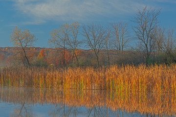 Autumn landscape with mirrored reflections in calm water and golden grasses, Jackson Hole Lake, Fort Custer State Park, Michigan, USA