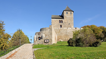 Fototapeta na wymiar Zamek w Będzinie 