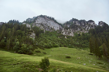 Hochfelln