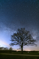 Fototapeta na wymiar Clear calm night. Milky Way across the sky.