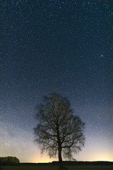 Fototapeta na wymiar Clear calm night. Milky Way across the sky.