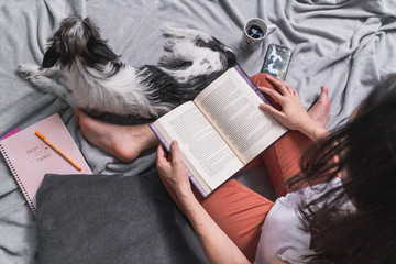 reading or studying with your dog