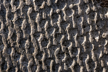 Texture of stone on which shines earlier morning sun. macro photo. background. surface. abstraction