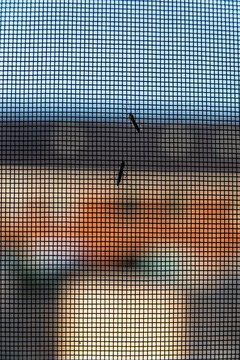 
mosquito screen to protect against flies insect moskitos, so that they can not get into the house.