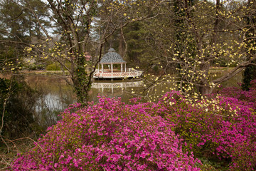 Fototapeta na wymiar Quiet lake reflecting flowers