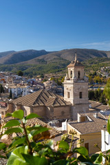 Fototapeta na wymiar Panorama of the city of Caravaca de la Cruz and conifers in the foreground, a place of pilgrimage near Murcia in Spain