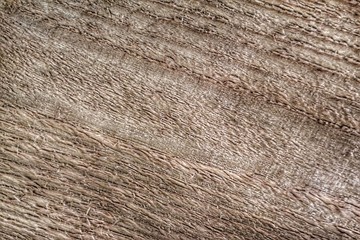 Natural texture of a brown wooden surface with an abstract pattern. A wooden background.