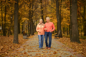 Obraz premium Portrait of beautiful senior couple walking in park