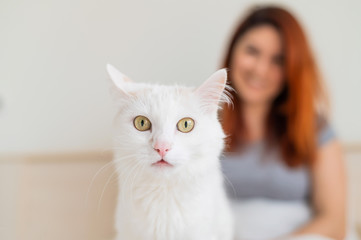 White fluffy cat with its owner in the background. happy blurred woman sitting on the bed with her pet in the foreground.