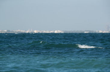Rough ocean waves at Busaiteen coast,  Bahrain
