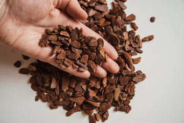 Granulated pine bark of small fraction in hands for planting Phalaenopsis Orchid close up on a...