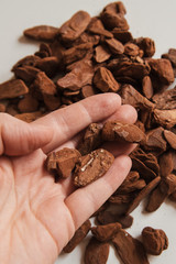Granulated pine bark of medium fraction in hands for planting Phalaenopsis Orchid close up on a white backgroun