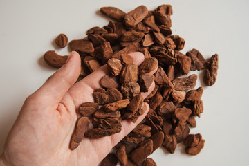 Granulated pine bark of medium fraction in hands for planting Phalaenopsis Orchid close up on a white background