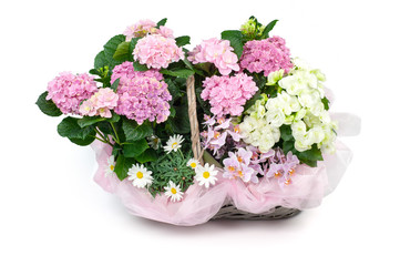 composizione floreale