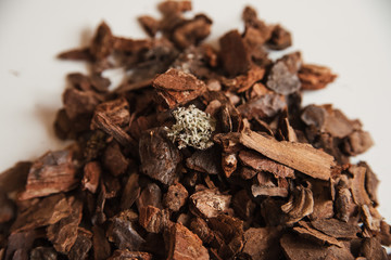 A pile of medium-sized pine bark for planting Phalaenopsis orchids close-up on a white background. Bark mulch for the garden