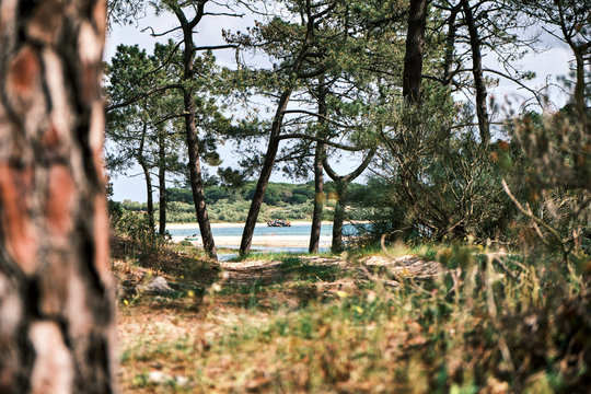 A sandy track bends around with a water view and a shipwreck in the background