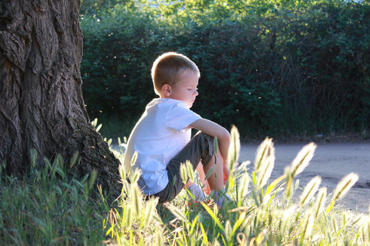 A little boy sits in a beautiful green forest at sunset.