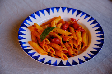 Homemade Pasta with Tomato Sauce and Basil