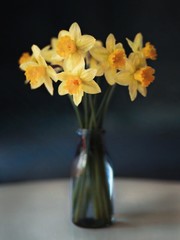 Daffodil bouquet in vintage style vase
