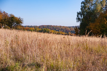 Fototapeta premium Beautiful autumn landscape of Roztocze region in Poland