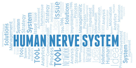 Human Nerve System typography vector word cloud.