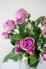 A close up of a rose peony flower