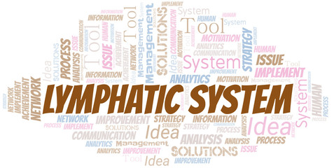 Obraz premium Lymphatic System typography vector word cloud.