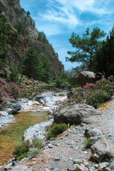 mountain river in the mountains