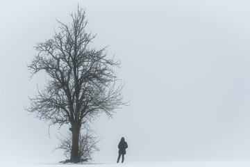 The girl and the tree