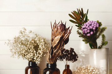 Dry protea flower, brunia, gypsophila and dried herbs in different brown glass bottles on wooden shelf in country home. Modern house decor. Stylish simple interior design elements. Rural house