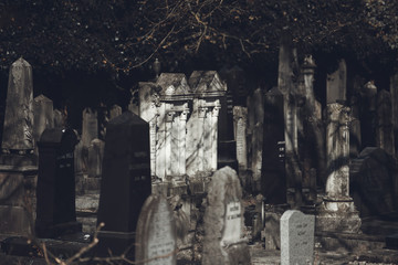 Jewish ancient cemetery. Black and white photo.