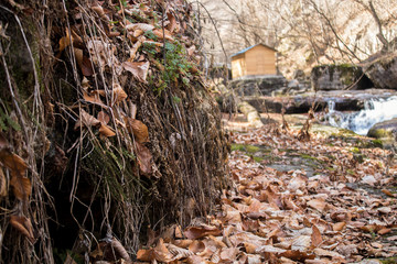 mountain river flows