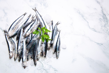 Fresh raw anchovies on ice