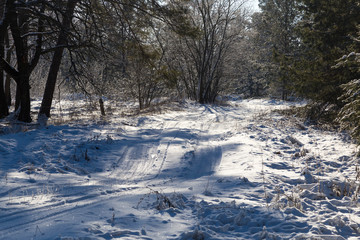 Snowy winter road in the forest