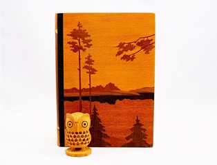 Owl on a wooden book background