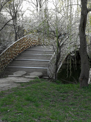 bridge in a park in spring