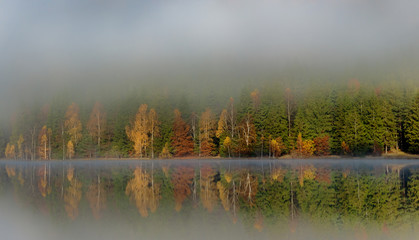 Naklejka na ściany i meble Beautiful autumn landscape with golden and copper colored trees in the mist, Sfanta Ana Lake, Harghita, Romania