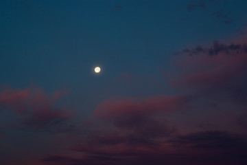 Moon in the evening sky