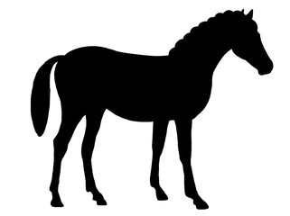 Black silhouette of a horse isolated on a white background.