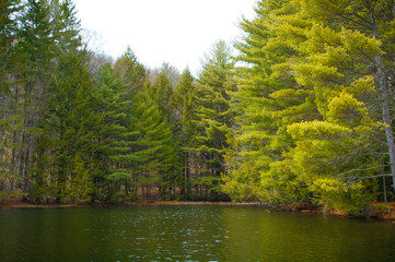 Lake Sacandaga Upstate New York Adirondacks