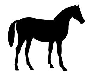 Black silhouette of a horse isolated on a white background.