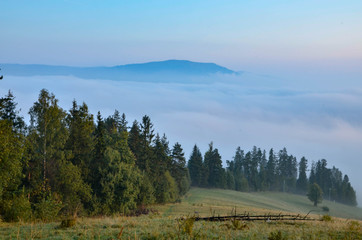 Mglisty poranek © Albert