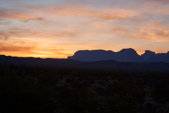 Sunset in the Desert
