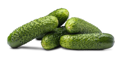 Group of fresh cucumbers isolated on white background.