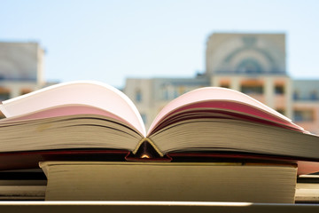 Books in the window with city view. Copy space for text