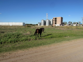 CABALLO PARQUE INDUSTRIAL