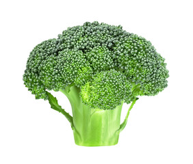 Fresh raw broccoli isolated on a white background. Healthy broccoli.