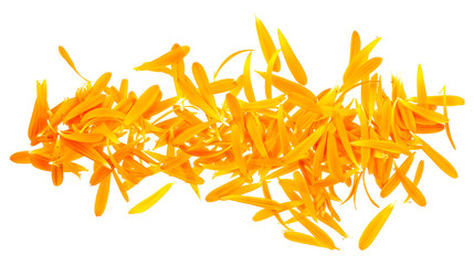 Fototapeta premium Petals of marigold flower isolated on a white background, top view. Calendula flower.