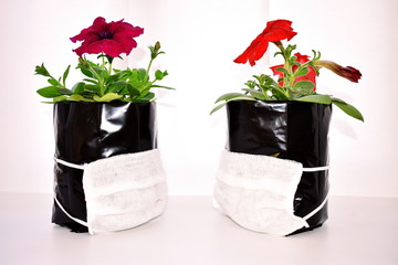 flowers in a medical mask
